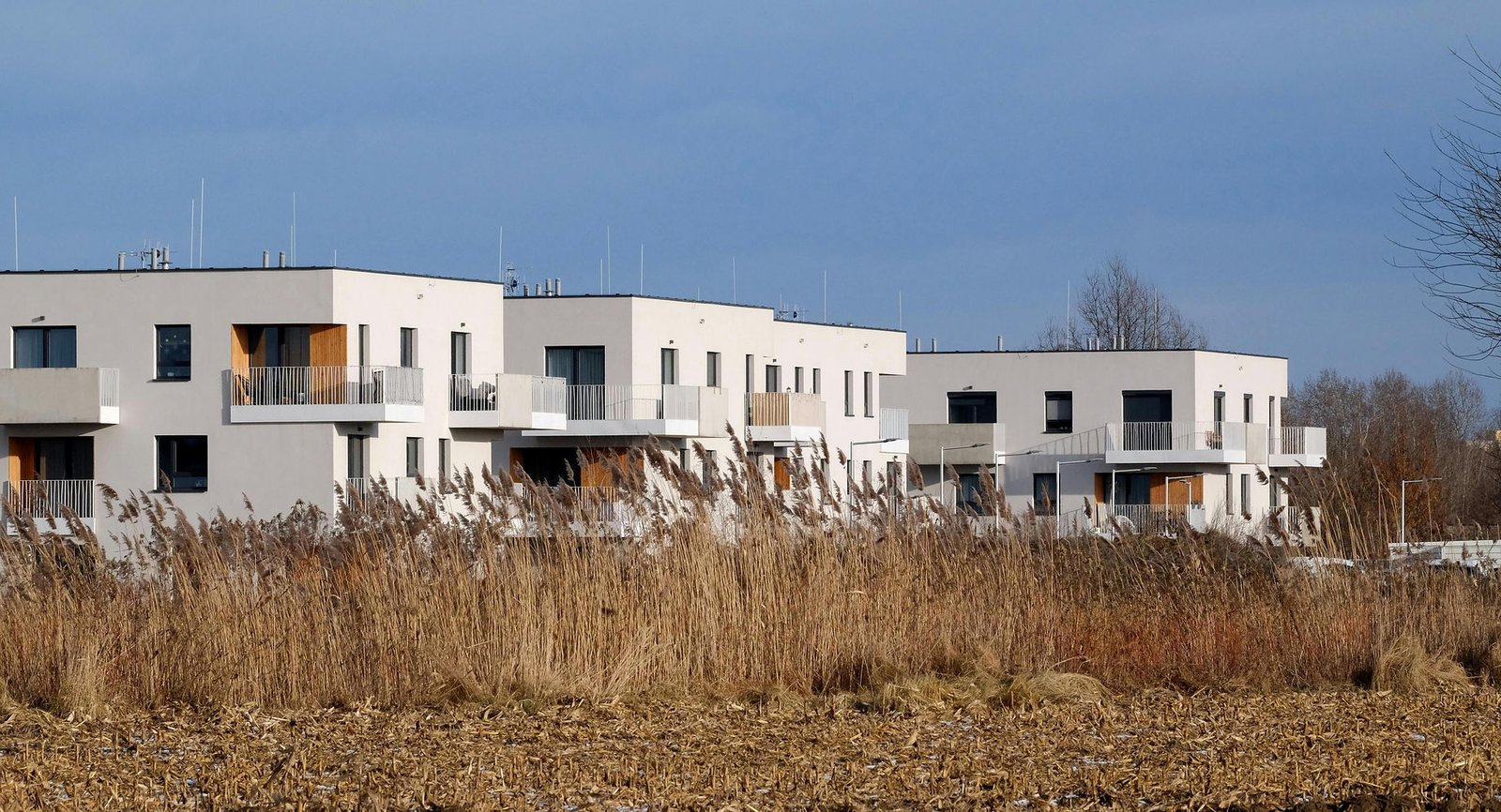 Contemporary residential architecture